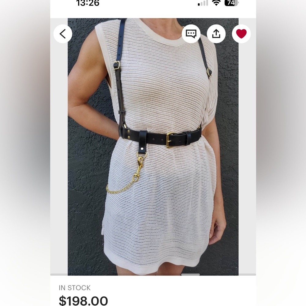Black and Gold leather Harness